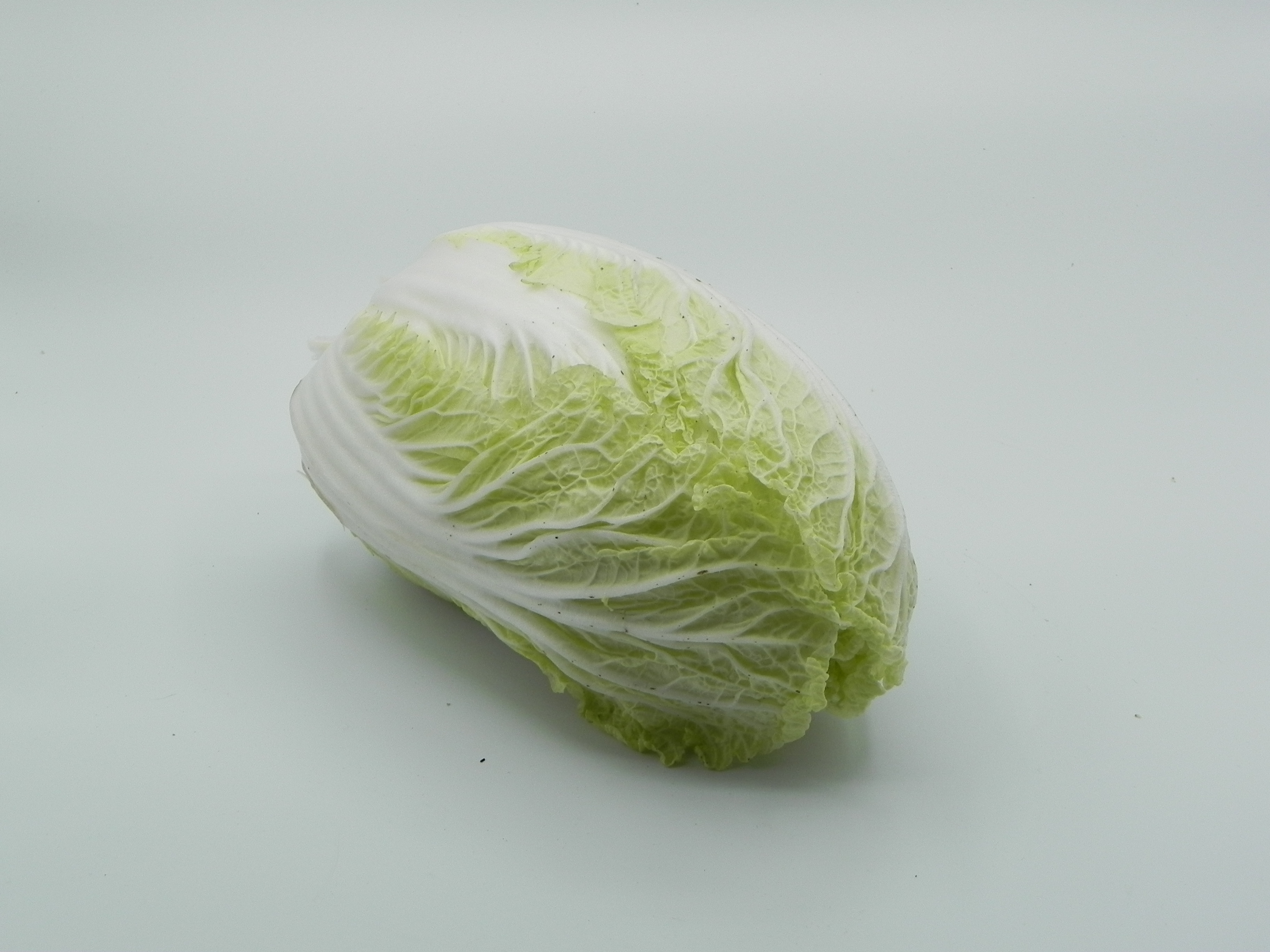 Chinakohl / chinese cabbage - Prinz Food e.K. | Wuppertal